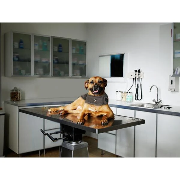 Thundershirt Antistress Voor Honden Grijs - XS 4 Thundershirt Antistress Voor Honden Grijs - XS - Afbeelding 2