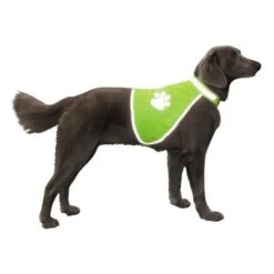 Veiligheidsjas Reflecterend L