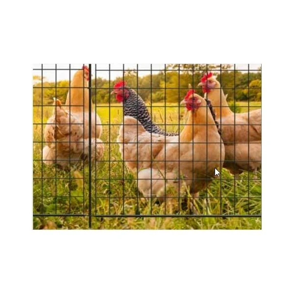 Vergrendelingspaal FENCE SMALL - 91 Cm 4 Vergrendelingspaal FENCE SMALL - 91 Cm - Afbeelding 2