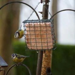 Vetblok Met Bosvruchten -Boerderijdieren Winkel vetblok bosvruchten 1514468579 1 600