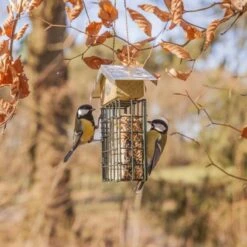 ESSCHERT DESIGN Vetblokhouder Met Zinken Dak -Boerderijdieren Winkel vetblokhouder met zinken dak 1548681335 2 600