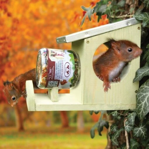 ESSCHERT DESIGN Voederhuis Voor Eekhoornvoederpot -Boerderijdieren Winkel voederhuis voor eekhoorns 1536519942 1 600