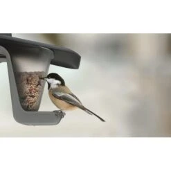 Voedersilo Duofood - Kunststof 9 Voedersilo Duofood - Kunststof -Boerderijdieren Winkel voedersilo duofood kunststof 1565767973 4 600