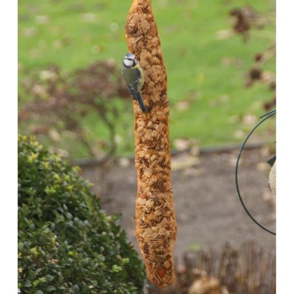 Voederslinger Mix Met Rozijnen - 750 G 8 Voederslinger Mix Met Rozijnen - 750 G - Afbeelding 6