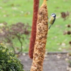 Voederslinger Mix Met Rozijnen - 750 G 9 Voederslinger Mix Met Rozijnen - 750 G -Boerderijdieren Winkel voederslinger mix met rozijnen 750 g 1550674058 2 600