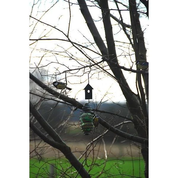 ESSCHERT DESIGN Vetbolspiraal - Voederveer 5 ESSCHERT DESIGN Vetbolspiraal - Voederveer - Afbeelding 3