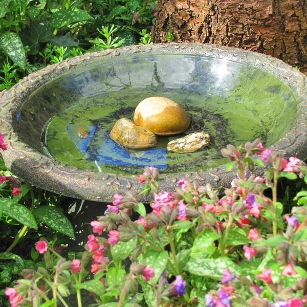 Vogelbad Rustiek XL - Kunststof 4 Vogelbad Rustiek XL - Kunststof - Afbeelding 2