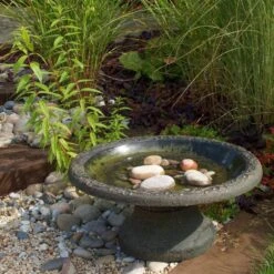 Vogelbad Rustiek XL - Kunststof 9 Vogelbad Rustiek XL - Kunststof -Boerderijdieren Winkel vogelbad rustiek xl kunststof 1660120179 4 600