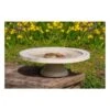 Vogelbad Op Voet 'Shenstone Theatre' Ø 44,5 Cm 2 Vogelbad Op Voet 'Shenstone Theatre' Ø 44,5 Cm -Boerderijdieren Winkel vogelbad shenstone theatre 1620809242 1 600