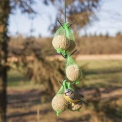 ESSCHERT DESIGN Vogelvoederhaak Met Donkergroen Dakje -Boerderijdieren Winkel vogelvoederhaak groen 1538483607 1 600