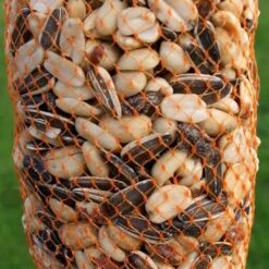 Voederslinger Mix Met Rozijnen - 750 G 11 Voederslinger Mix Met Rozijnen - 750 G -Boerderijdieren Winkel winterkrans mix met rozijnen 750 g 1538387970 1 600