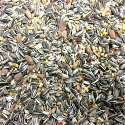 Wintermix Tuinvogels In Emmer - 7 Kg 5 Wintermix Tuinvogels In Emmer - 7 Kg -Boerderijdieren Winkel wintermix tuinvogels in emmer 7 kg 1484067957 1 600