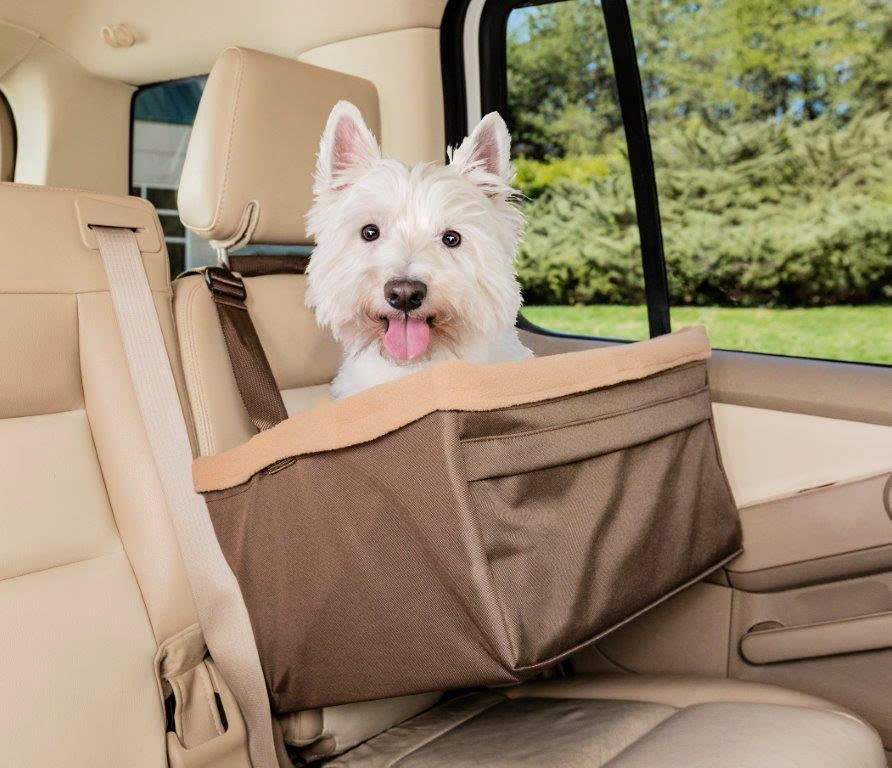 Boerderijdieren Winkel -Boerderijdieren Winkel z6367997074469 b0a1905e4cfc1d8a66e244aea955a448